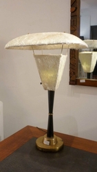 li 049 fiberlamp