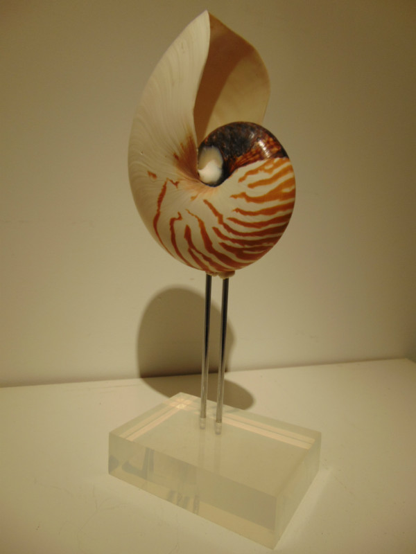 M 386 tanapo shelf on lucite