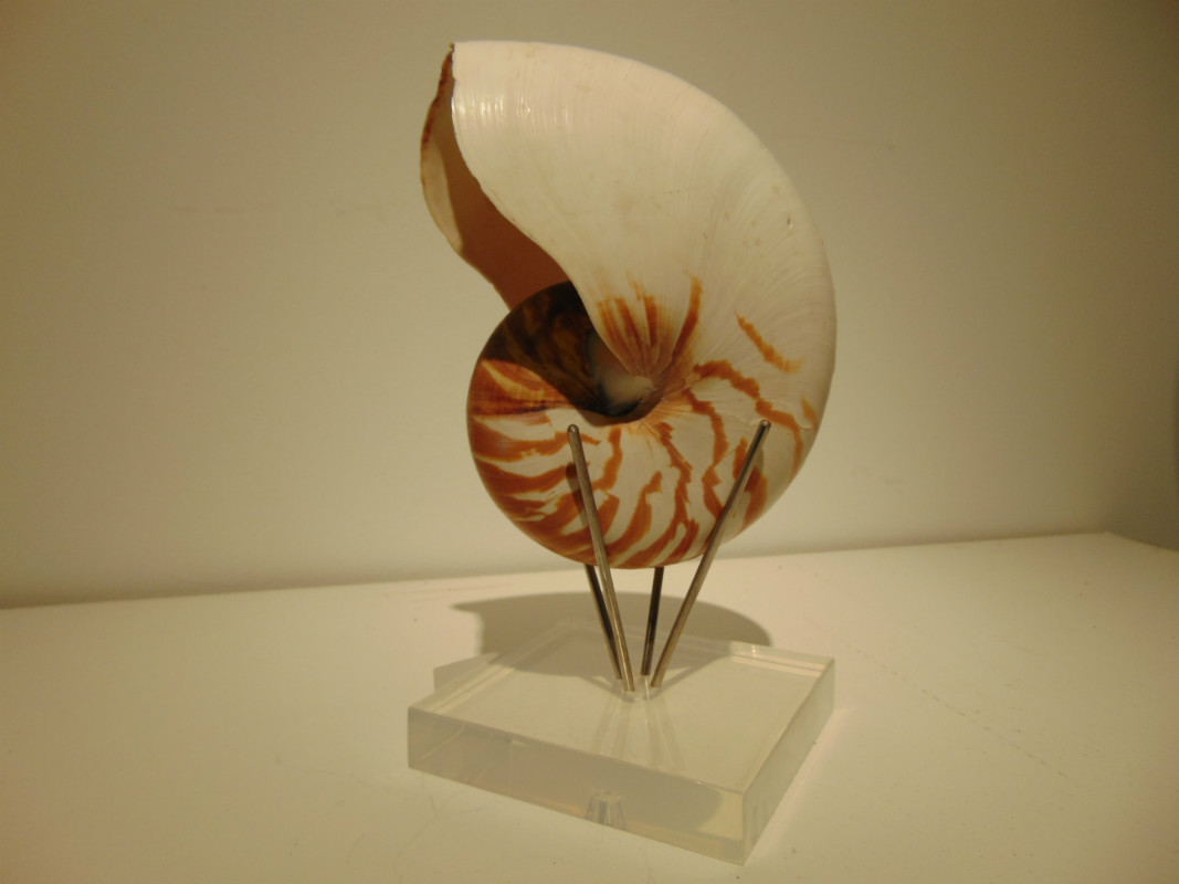 M 386 tanapo shelf on lucite