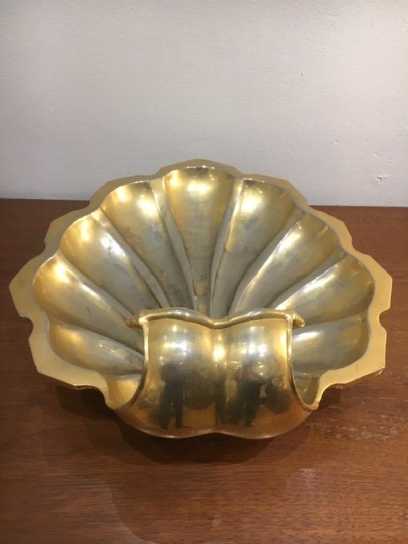 M 607 coupe coquillage