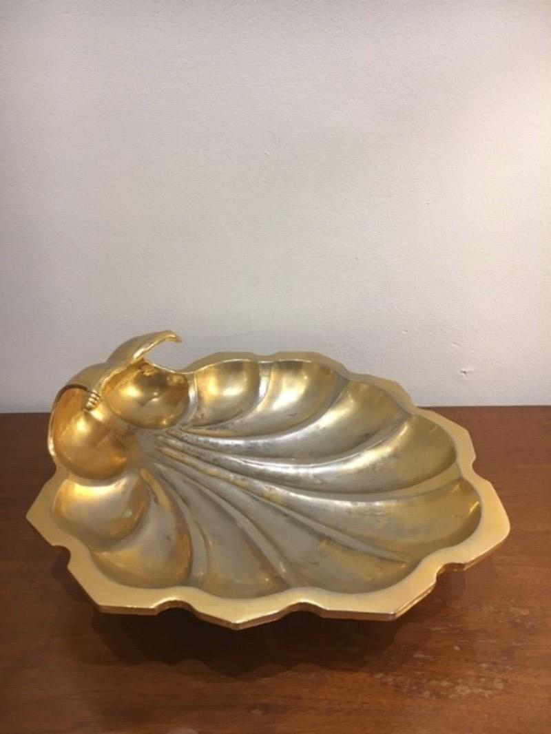 M 607 coupe coquillage