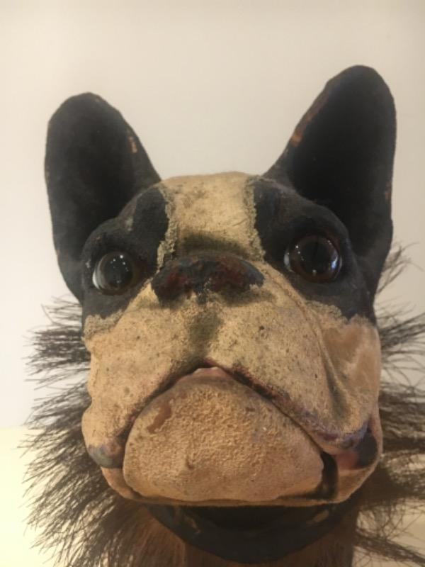 M 718 bouledogue en papier mâché 